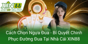 Cach Chon Ngua Dua Bi Quyet Chinh Phuc Duong Dua Tai Nha Cai Xin880