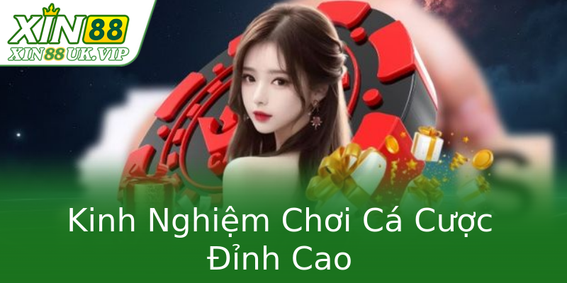 Kinh Nghiệm Chơi Cá Cược Đỉnh Cao Kinh Nghiệm Chơi Cá Cược Đỉnh Cao