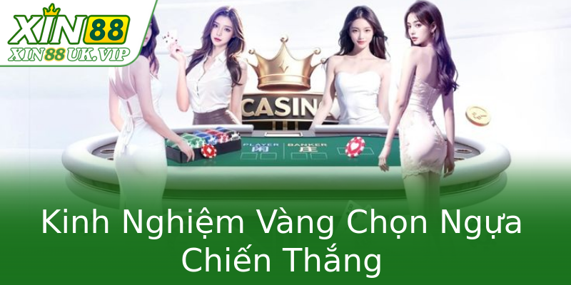 Kinh Nghiệm Vàng Chọn Ngựa Chiến Thắng Kinh Nghiệm Vàng Chọn Ngựa Chiến Thắng