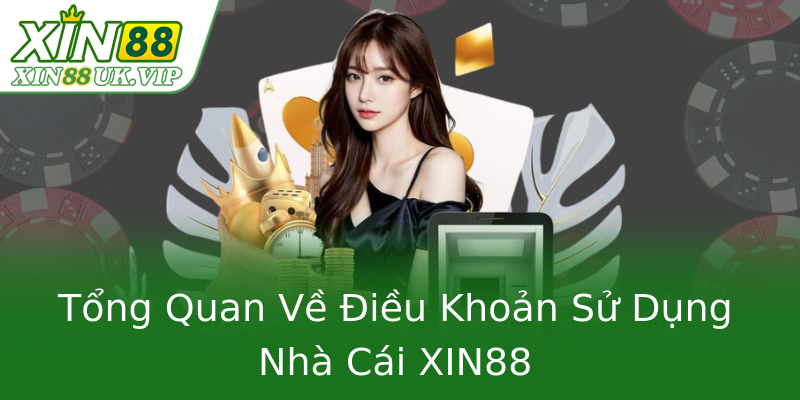 Tổng Quan Về Điều Khoản Sử Dụng Nhà Cái XIN88