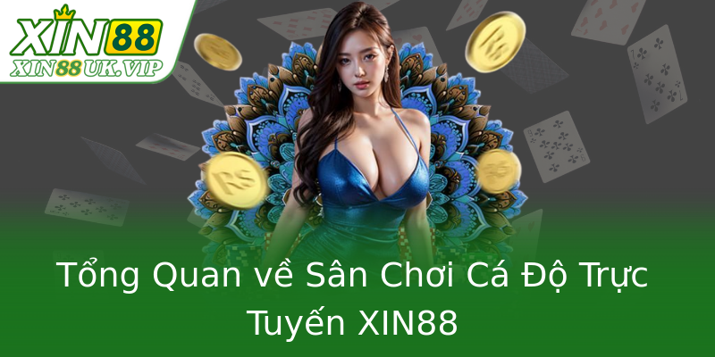 Tổng Quan về Sân Chơi Cá Độ Trực Tuyến XIN88 Tổng Quan về Sân Chơi Cá Độ Trực Tuyến XIN88