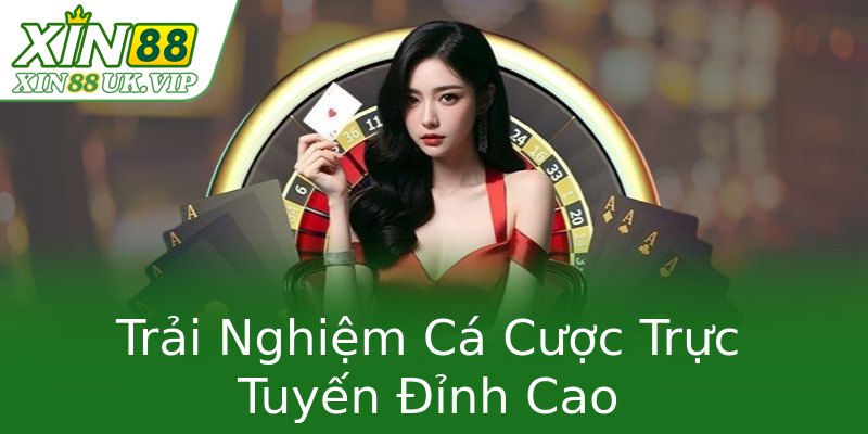 Trải Nghiệm Cá Cược Trực Tuyến Đỉnh Cao Trải Nghiệm Cá Cược Trực Tuyến Đỉnh Cao