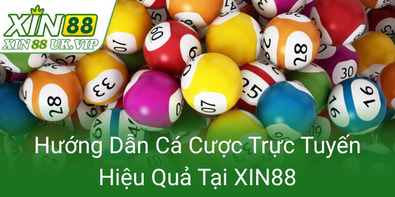 Huong Dan Ca Cuoc Truc Tuyen Hieu Qua Tai Xin880