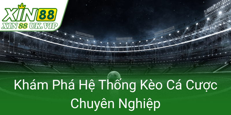 Kham Pha He Thong Keo Ca Cuoc Chuyen Nghiep0